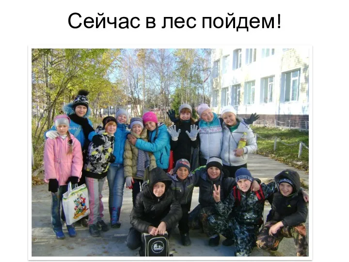 Сейчас в лес пойдем!