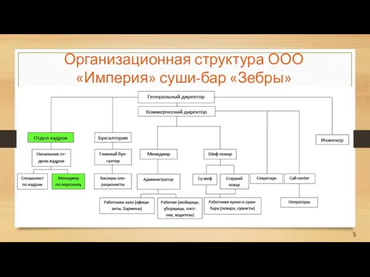 Организационная структура ООО «Империя» суши-бар «Зебры»