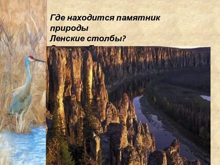 Где находится памятник природы Ленские столбы? Ответ : Якутия