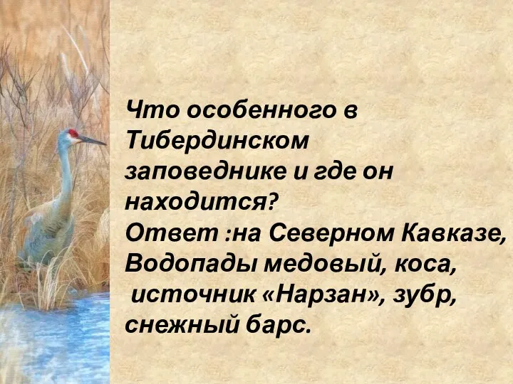 Что особенного в Тибердинском заповеднике и где он находится? Ответ