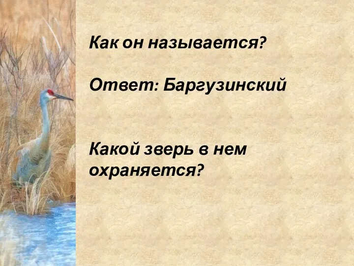 Как он называется? Ответ: Баргузинский Какой зверь в нем охраняется?