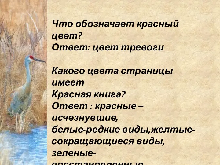 Что обозначает красный цвет? Ответ: цвет тревоги Какого цвета страницы