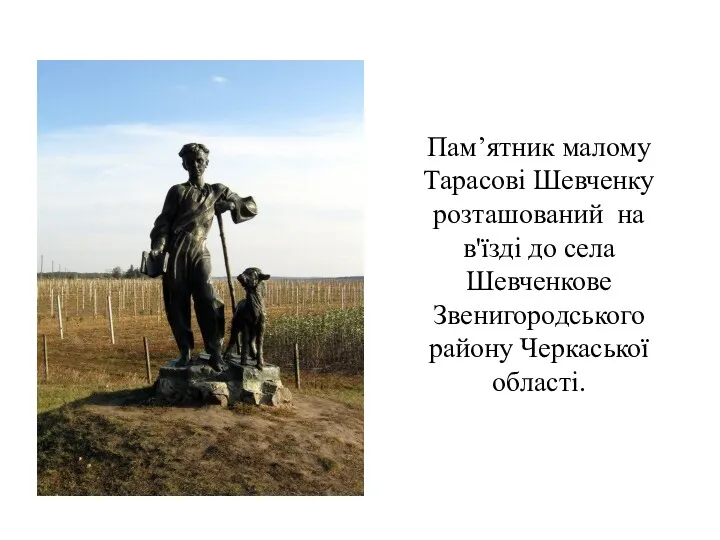 Пам’ятник малому Тарасові Шевченку розташований на в'їзді до села Шевченкове Звенигородського району Черкаської області.