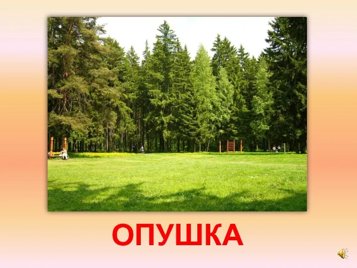 ОПУШКА