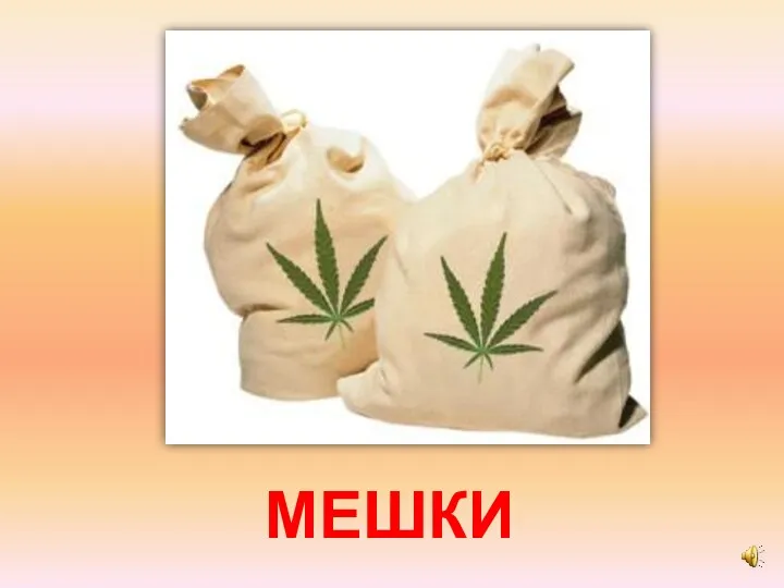 МЕШКИ