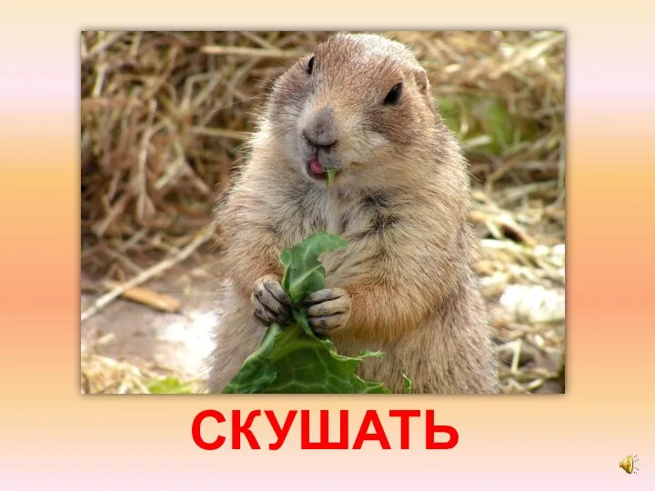 СКУШАТЬ