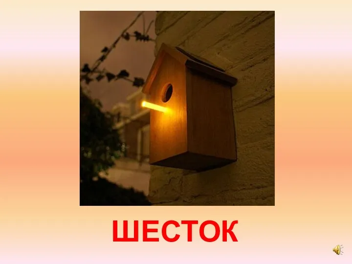 ШЕСТОК