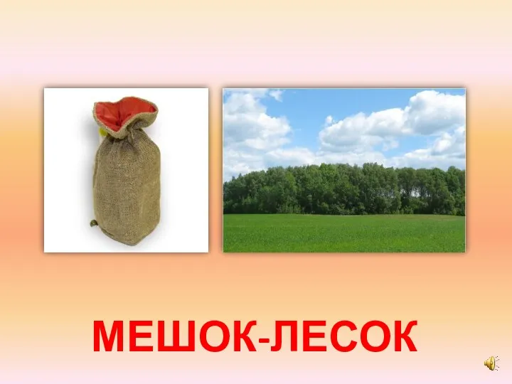 МЕШОК-ЛЕСОК