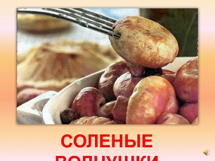 СОЛЕНЫЕ ВОЛНУШКИ