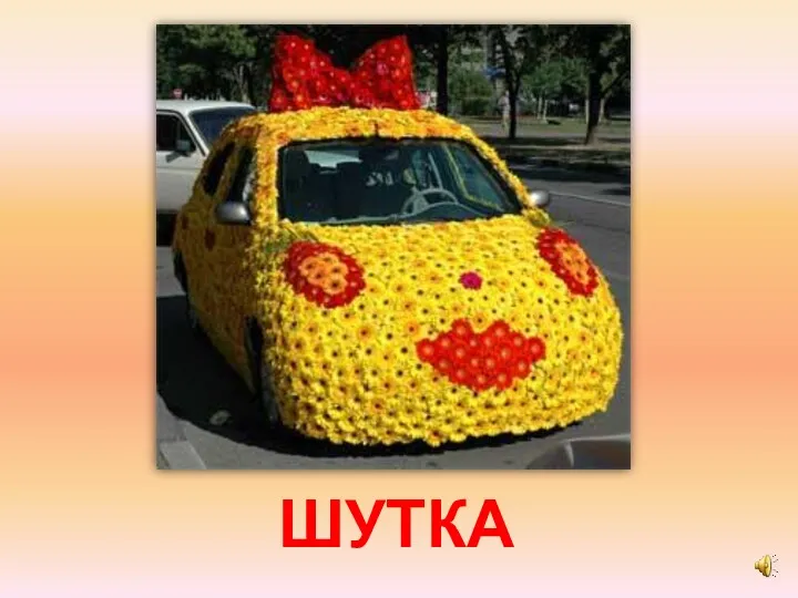 ШУТКА