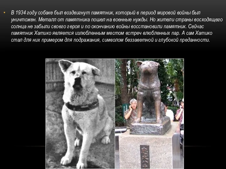 В 1934 году собаке был воздвигнут памятник, который в период