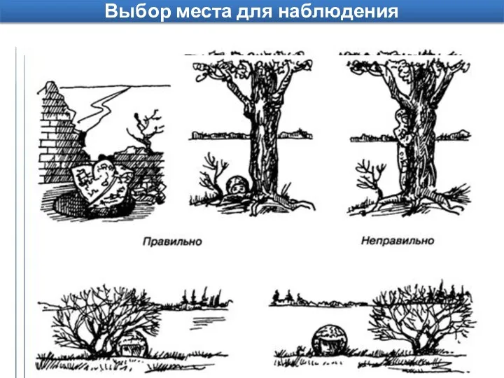 Выбор места для наблюдения