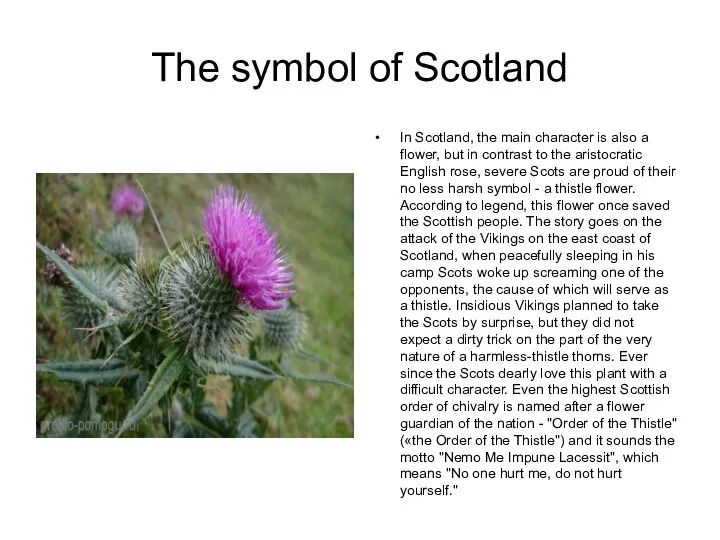 The symbol of Scotland In Scotland, the main character is