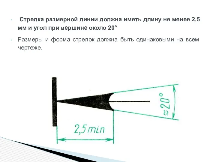 Стрелка размерной линии должна иметь длину не менее 2,5 мм