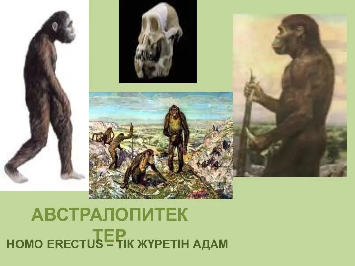 АВСТРАЛОПИТЕКТЕР HOMO ERECTUS – ТІК ЖҮРЕТІН АДАМ