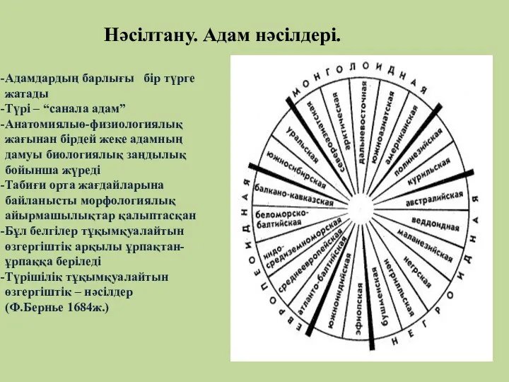 Нәсілтану. Адам нәсілдері. Адамдардың барлығы бір түрге жатады Түрі –