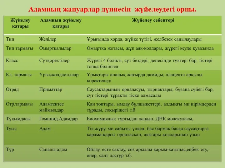 Адамның жануарлар дүниесін жүйелеудегі орны.