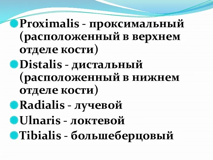 Proximalis - проксимальный (расположенный в верхнем отделе кости) Distalis -