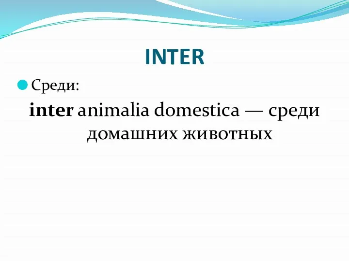INTER Среди: inter animalia domestica — среди домашних животных