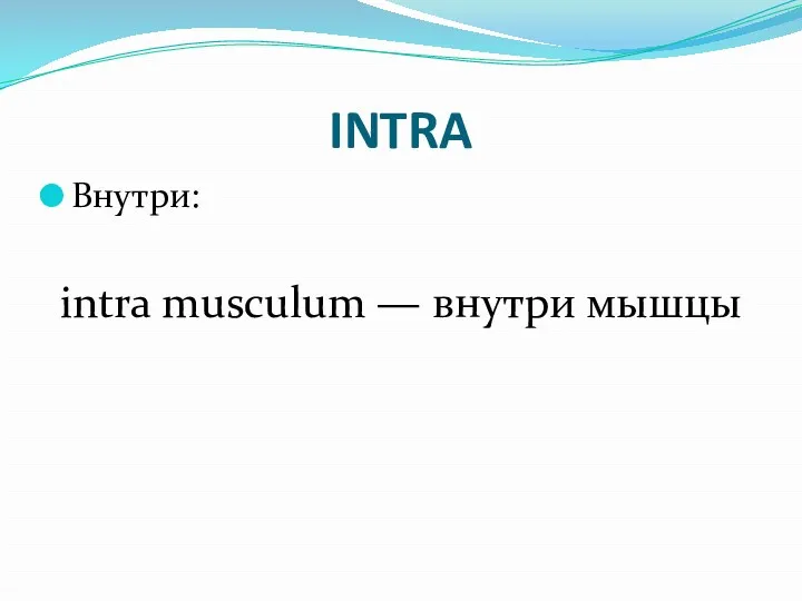 INTRA Внутри: intra musculum — внутри мышцы