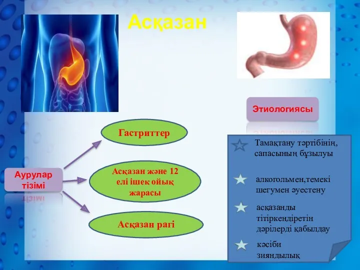 Асқазан Аурулар тізімі Гастриттер Асқазан және 12 елі ішек ойық