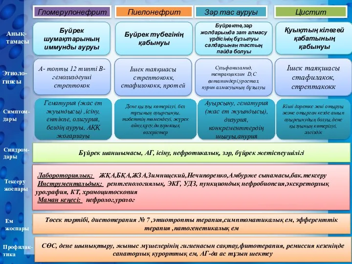 Гломерулонефрит Цистит Зәр тас ауруы Пиелонефрит Бүйрек шумақтарының иммунды ауруы