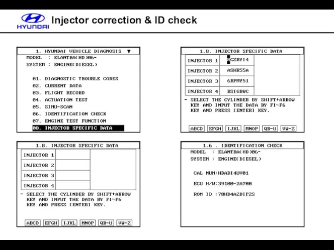 Injector correction & ID check