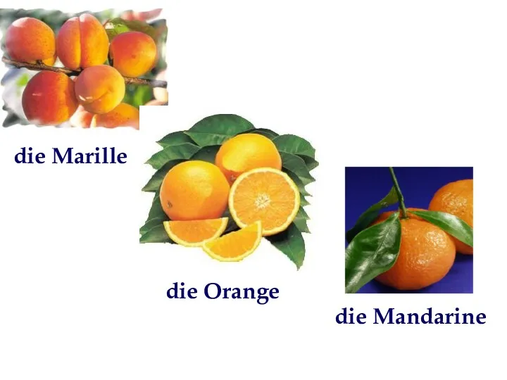 die Marille die Orange die Mandarine