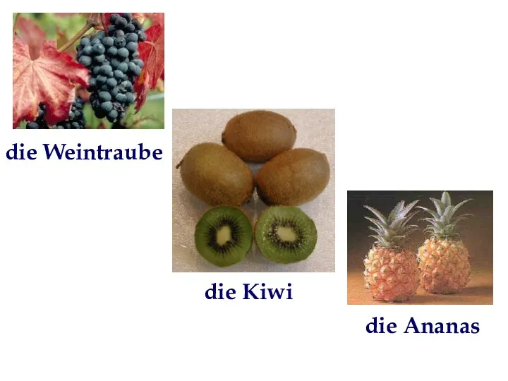 die Weintraube die Kiwi die Ananas