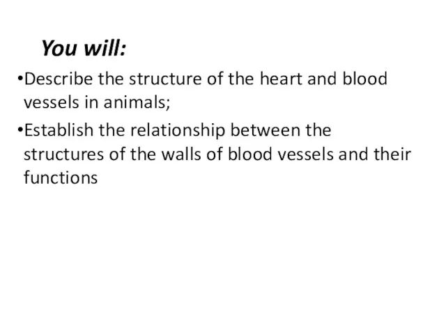 You will: Describe the structure of the heart and blood vessels in animals;
