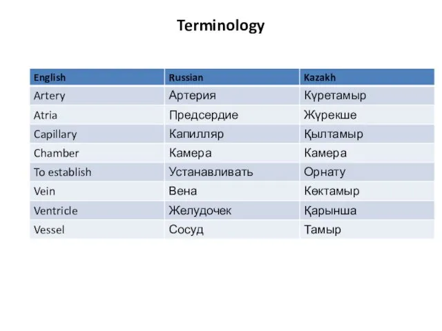 Terminology