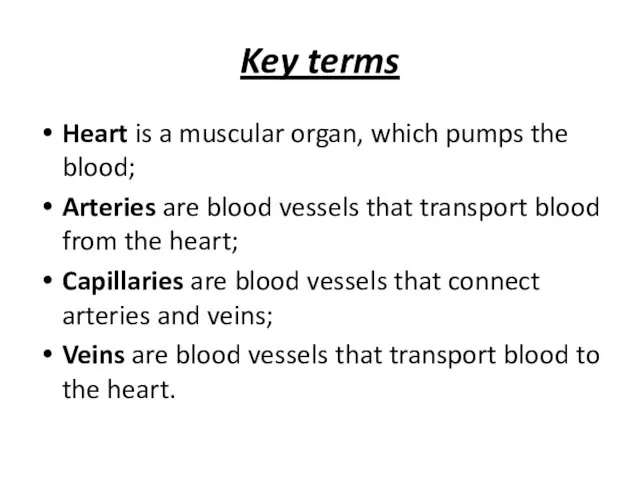 Key terms Heart is a muscular organ, which pumps the blood; Arteries are