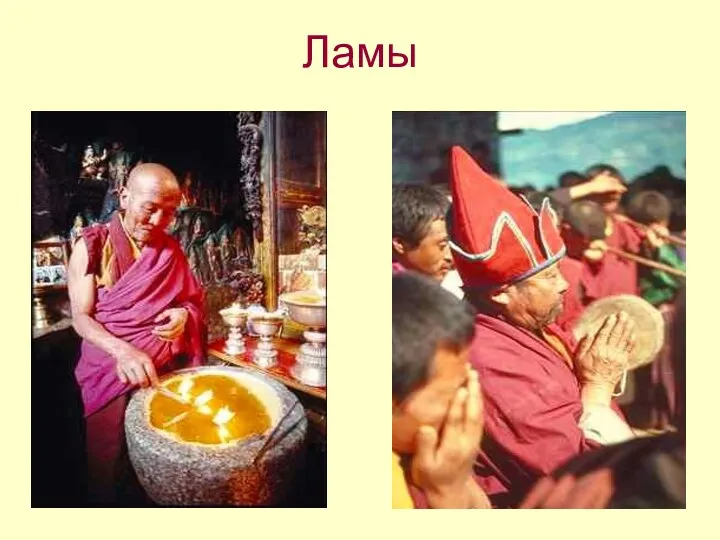 Ламы