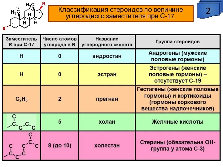 Классификация стероидов по величине углеродного заместителя при С-17. 2