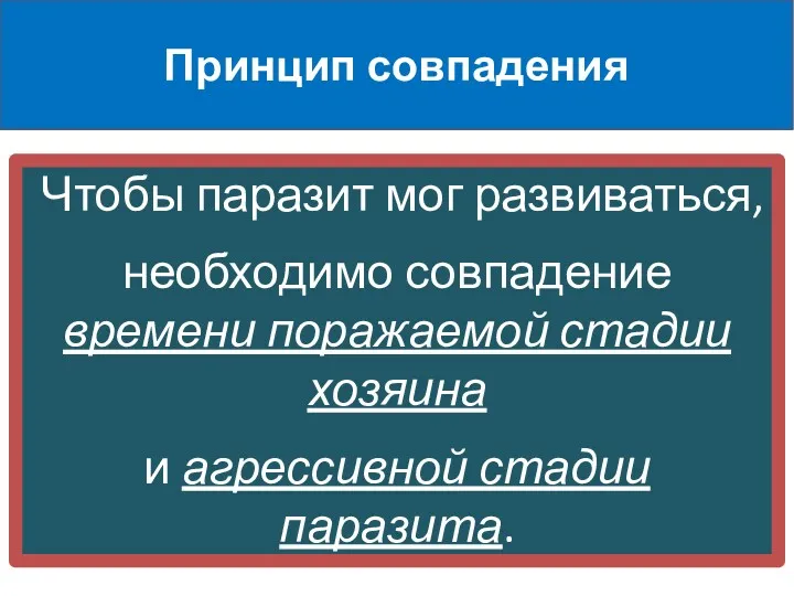 Чтобы паразит мог развиваться, необходимо совпадение времени поражаемой стадии хозяина