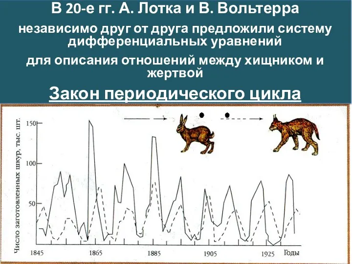 В 20-е гг. А. Лотка и В. Вольтерра независимо друг