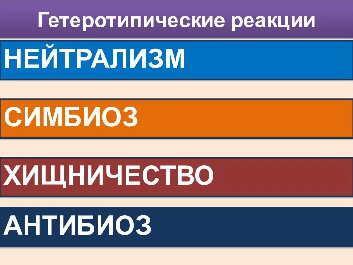 НЕЙТРАЛИЗМ Гетеротипические реакции СИМБИОЗ ХИЩНИЧЕСТВО АНТИБИОЗ