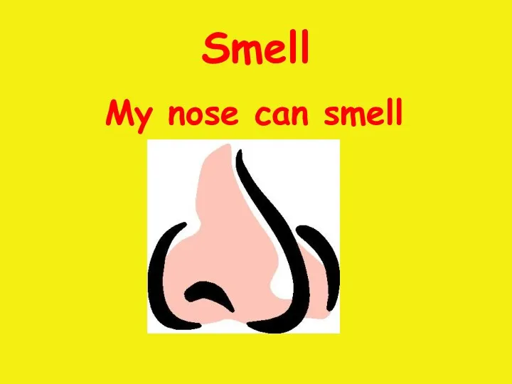 Smell My nose can smell