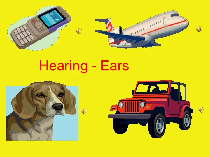 Hearing - Ears