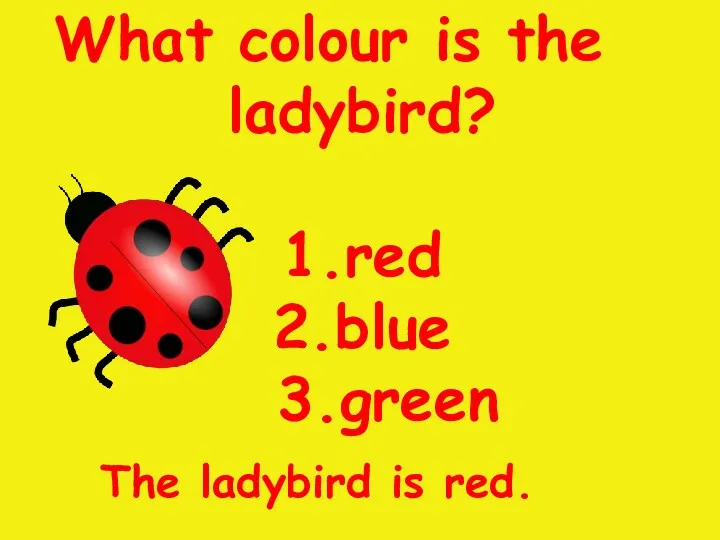 What colour is the ladybird? 1.red 2.blue 3.green The ladybird is red.