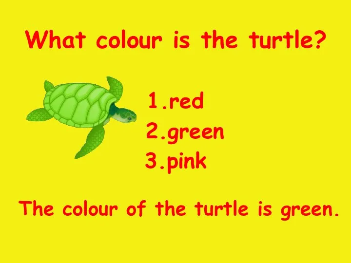 What colour is the turtle? 1.red 2.green 3.pink The colour of the turtle is green.