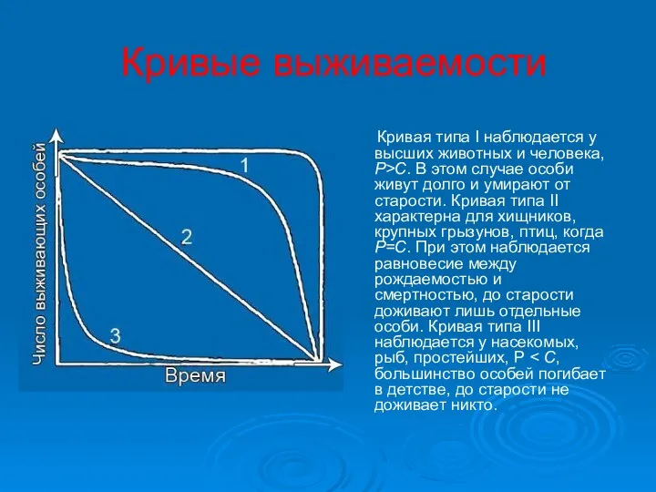 Кривые выживаемости Кривая типа I наблюдается у высших животных и человека, Р>С. В