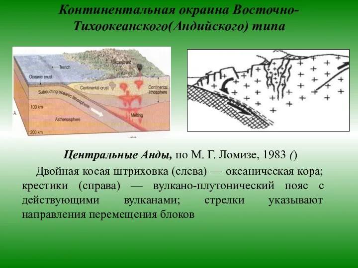 Континентальная окраина Восточно-Тихоокеанского(Андийского) типа Центральные Анды, по М. Г. Ломизе,