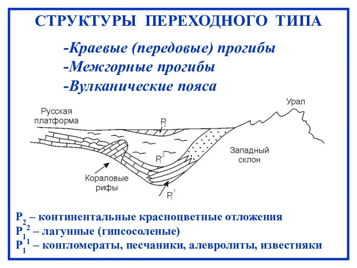 СТРУКТУРЫ ПЕРЕХОДНОГО ТИПА Краевые (передовые) прогибы Межгорные прогибы Вулканические пояса