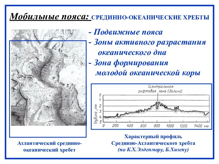 Мобильные пояса: СРЕДИННО-ОКЕАНИЧЕСКИЕ ХРЕБТЫ Атлантический срединно-океанический хребет Характерный профиль Срединно-Атлантического