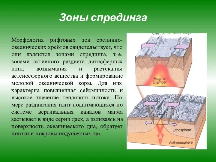 Зоны спрединга Морфология рифтовых зон срединно-океанических хребтов свидетельствует, что они