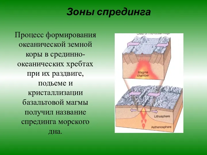 Зоны спрединга Процесс формирования океанической земной коры в срединно-океанических хребтах