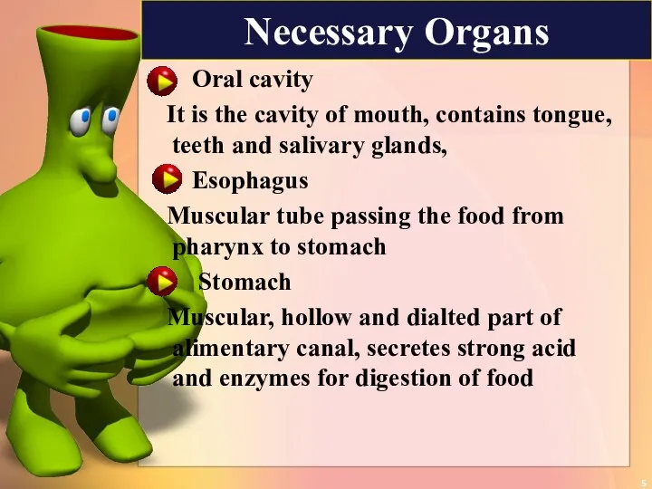 Necessary Organs Oral cavity It is the cavity of mouth, contains tongue, teeth