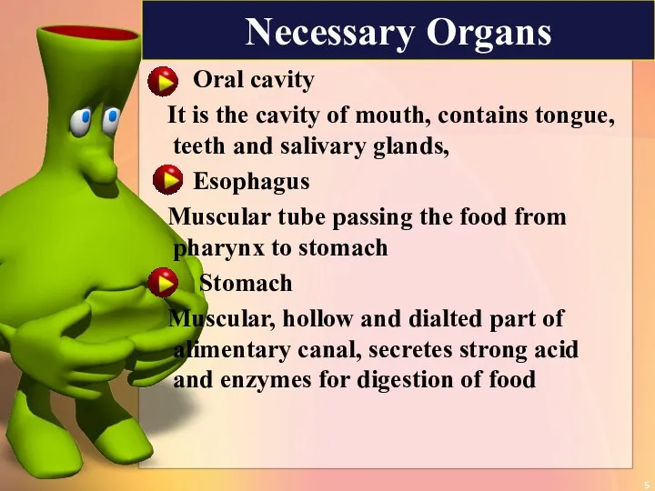 Necessary Organs Oral cavity It is the cavity of mouth,