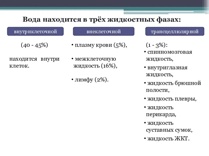 Вода находится в трёх жидкостных фазах: внутриклеточной внеклеточной трансцеллюлярной (40